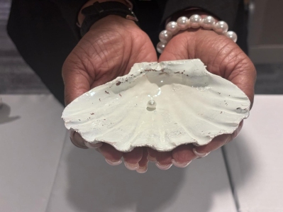 pearl clamshell.jpg